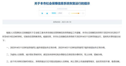 上海社保信息系统 4 月 11 日 0 时恢复运行